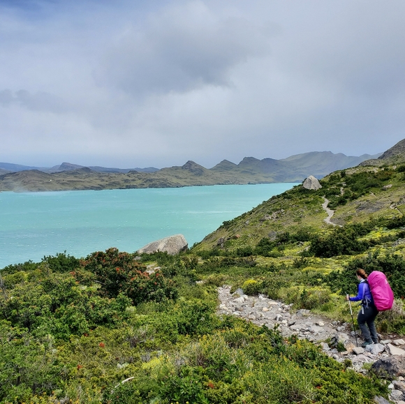 Meet your Posher, Lenny - Picture 1 of 1